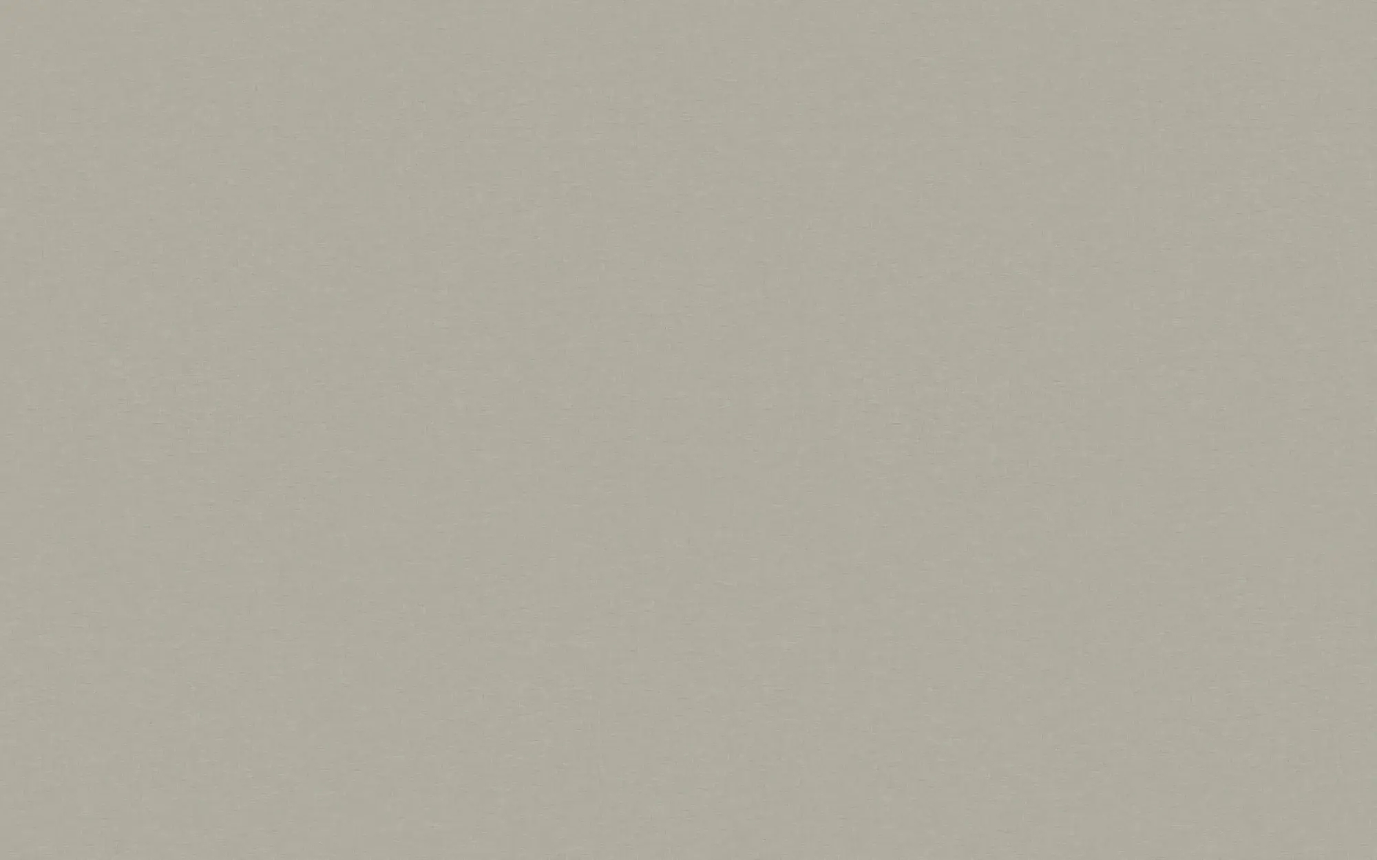 5055 Heathered Tabby